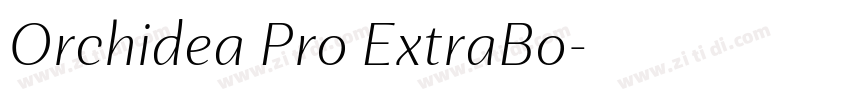 Orchidea Pro ExtraBo字体转换